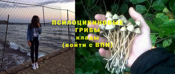 метадон Арсеньев