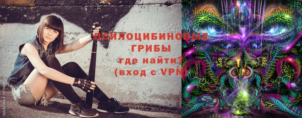 тгк Аркадак